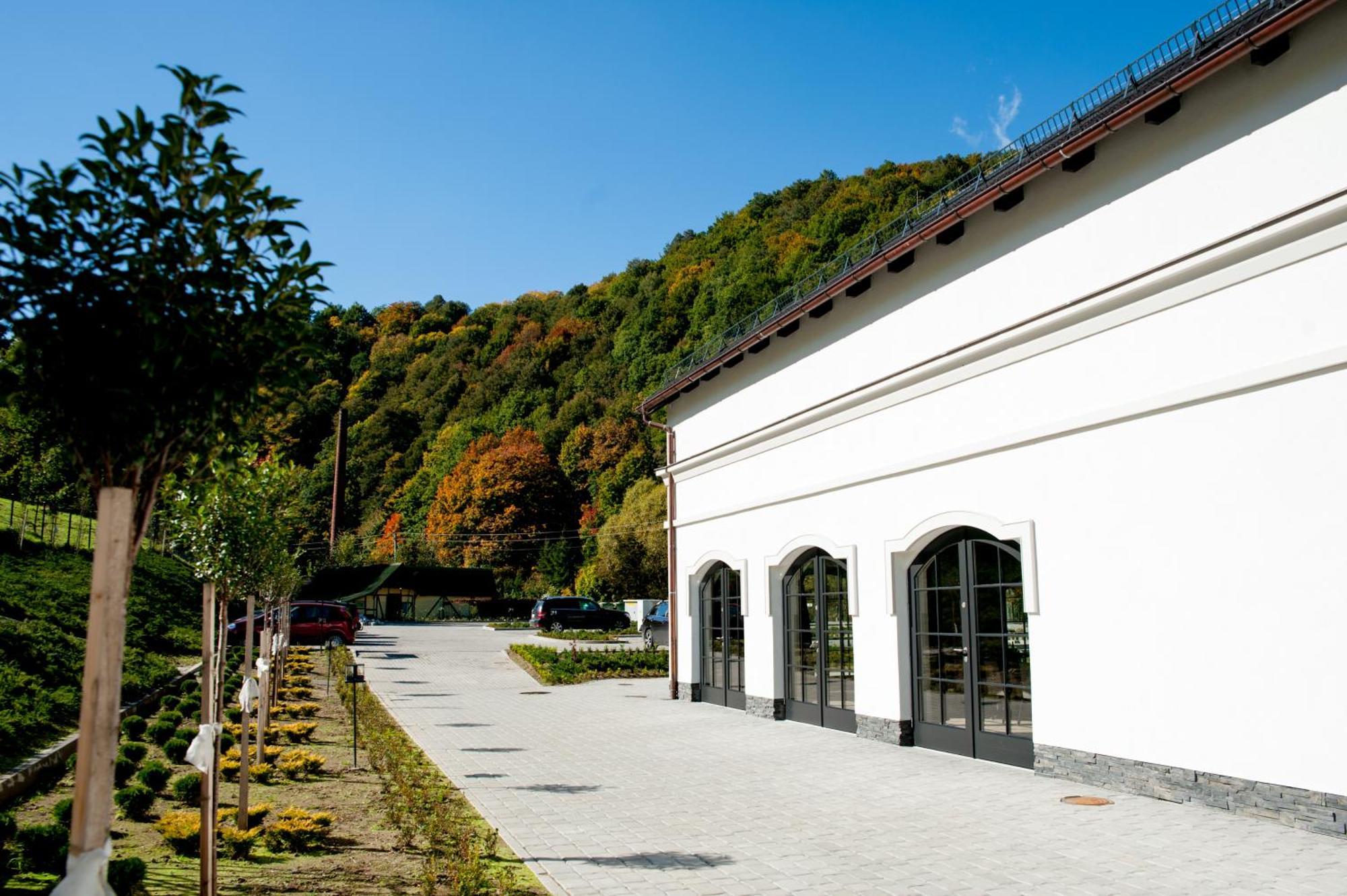 Hotel Palac Jugowice Wałbrzych Kültér fotó